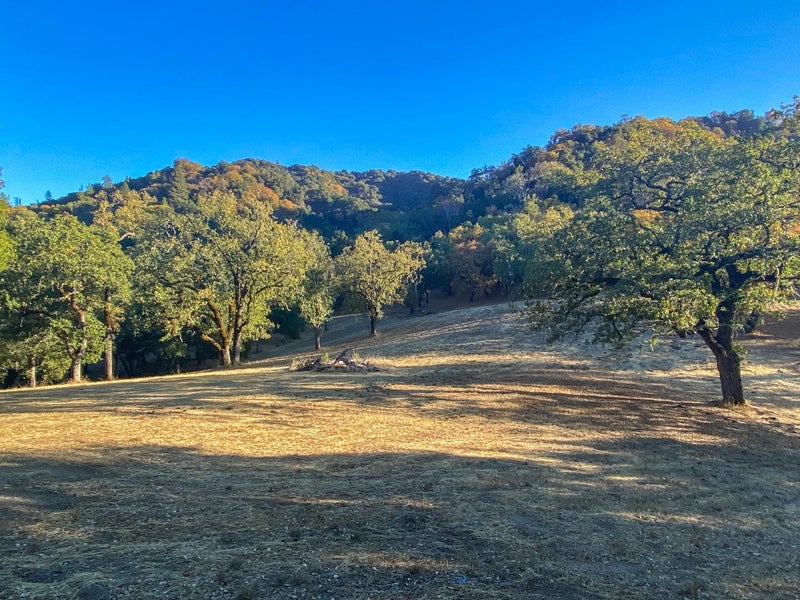 22 Arroyo Sequoia
