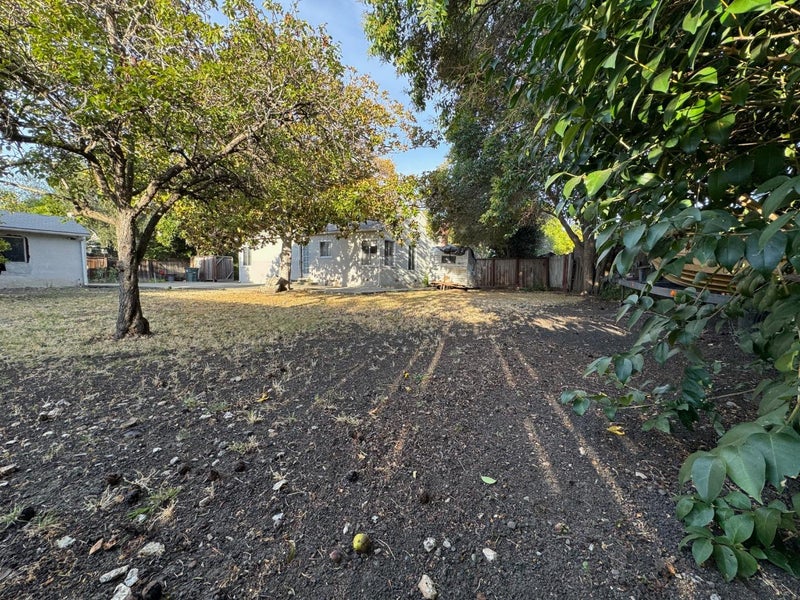1303 Sevier Avenue