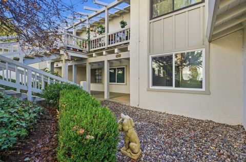 Tiny photo for 5424 Cribari Court, San Jose, CA 95135 (MLS # ML82033958)