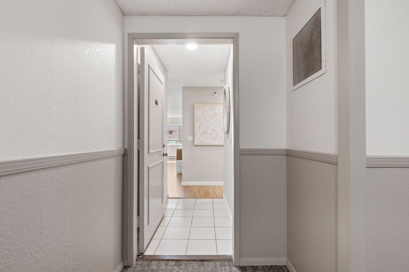240 North Bayshore Boulevard 315