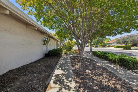 Tiny photo for 5573 Bigoak Drive, SAN JOSE, CA 95129 (MLS # ML82053672)