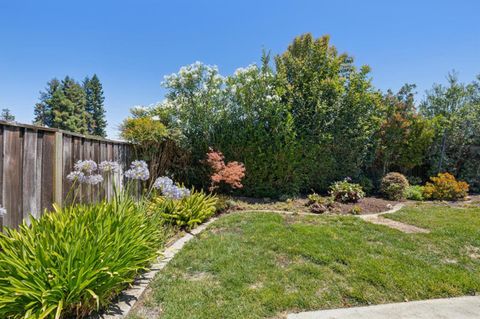 Tiny photo for 5573 Bigoak Drive, SAN JOSE, CA 95129 (MLS # ML82053672)