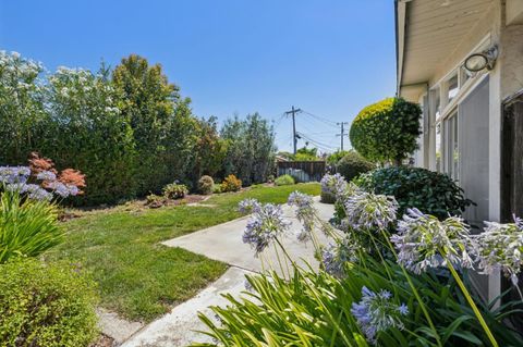 Tiny photo for 5573 Bigoak Drive, SAN JOSE, CA 95129 (MLS # ML82053672)