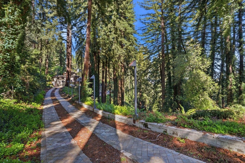 26 Big Tree Road