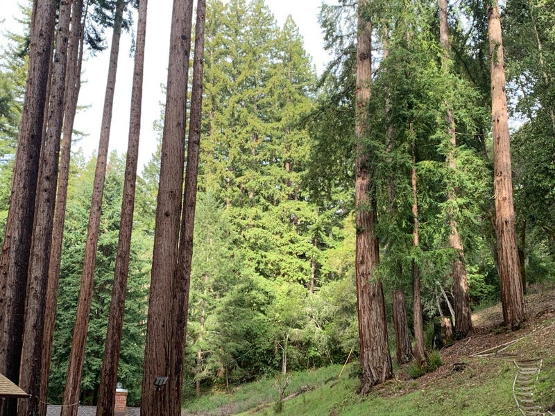 615 Heartwood Hill