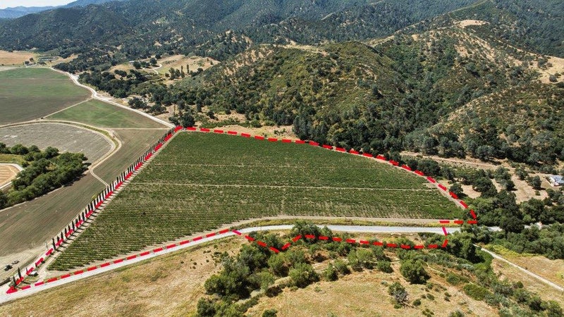 24.5 Acres Cienega Road