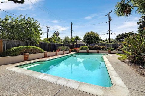 Tiny photo for 35924 Nicolet Court, FREMONT, CA 94536 (MLS # ML82052095)