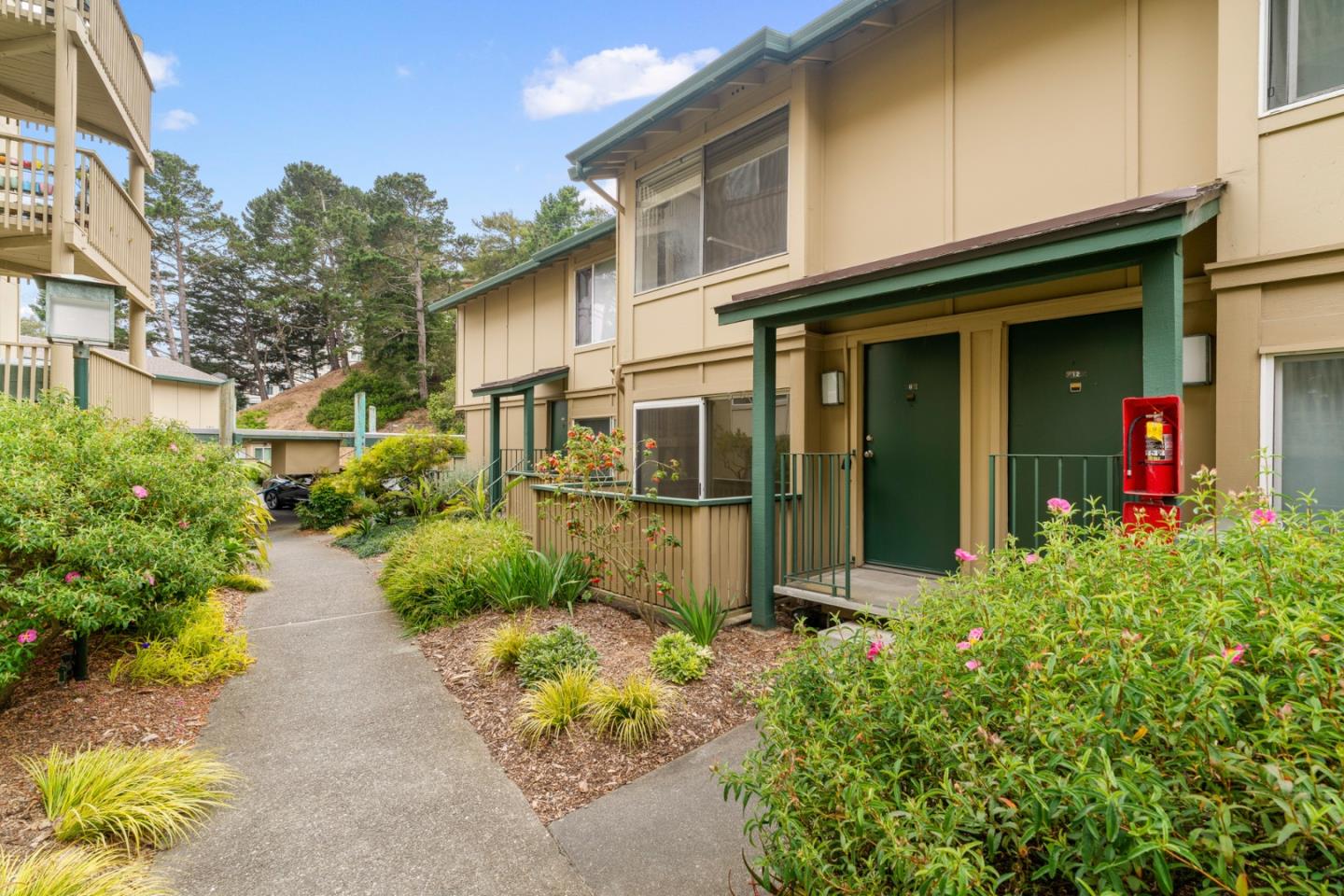 385 Mandarin Drive 11