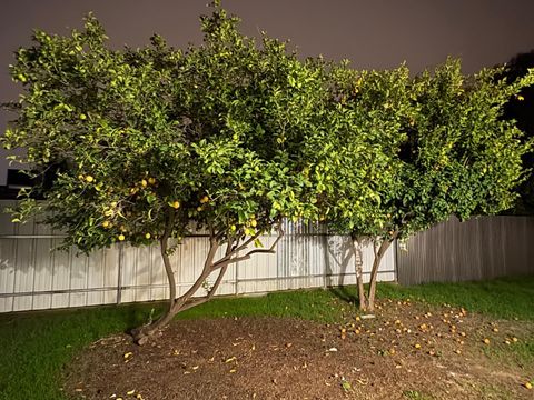 Tiny photo for 6042 Coad Lane, RIVERBANK, CA 95367 (MLS # ML82027732)