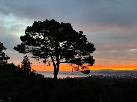 1105 Golden Oaks Lane, Monterey, CA 93940 - #: ML82005032