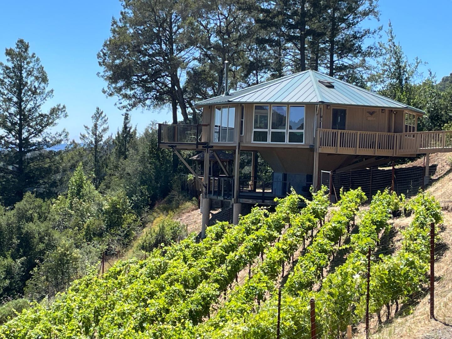 351 Canyon Vista