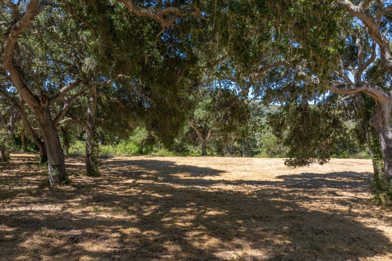 4 Goodrich Trail (Lot E13)