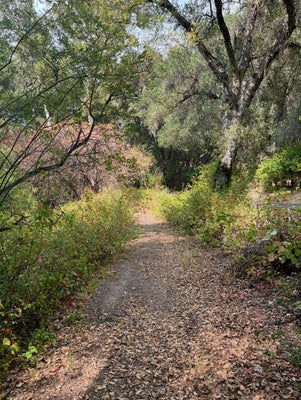 68 ASOLEADO DR, CARMEL VALLEY, CA 93924 - Image 78fb919a05bf498d6d2aa7df219efa5d/4229270835
