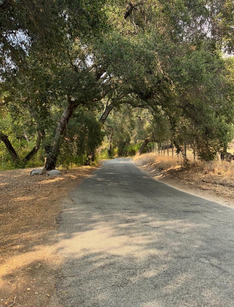68 Asoleado Drive