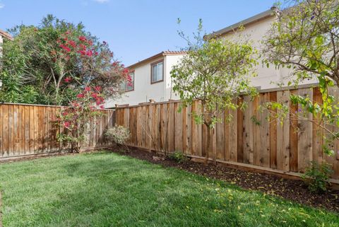 Tiny photo for 2214 Gianera Street, SANTA CLARA, CA 95054 (MLS # ML82036895)