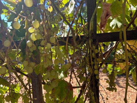 Tiny photo for 848 Del Norte Drive, LIVERMORE, CA 94551 (MLS # ML82021829)