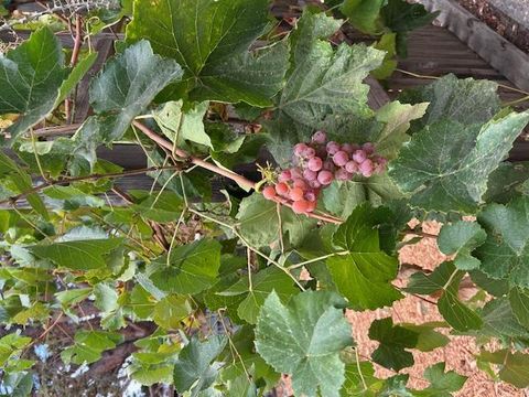 Tiny photo for 848 Del Norte Drive, LIVERMORE, CA 94551 (MLS # ML82021829)