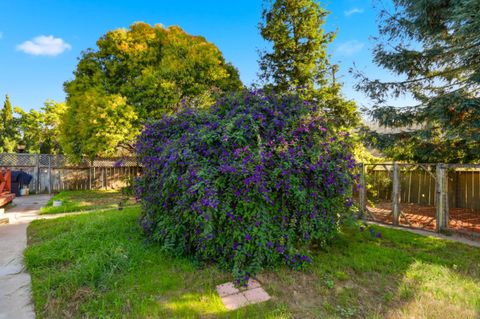 Tiny photo for 2594 San Juan Road, AROMAS, CA 95004 (MLS # ML82026451)