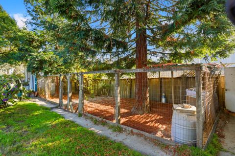 Tiny photo for 2594 San Juan Road, AROMAS, CA 95004 (MLS # ML82026451)