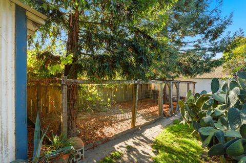 Tiny photo for 2594 San Juan Road, AROMAS, CA 95004 (MLS # ML82026451)