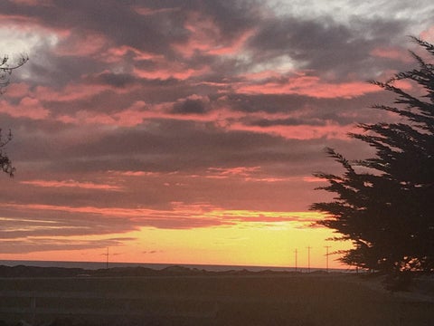 Photo of 260 Giberson Road, MOSS LANDING, CA 95039 (MLS # ML82034527)