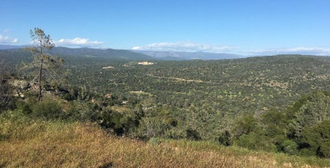 Tiny photo for 30159 Horseshoe Drive, Coarsegold, CA 93614 (MLS # ML82052431)