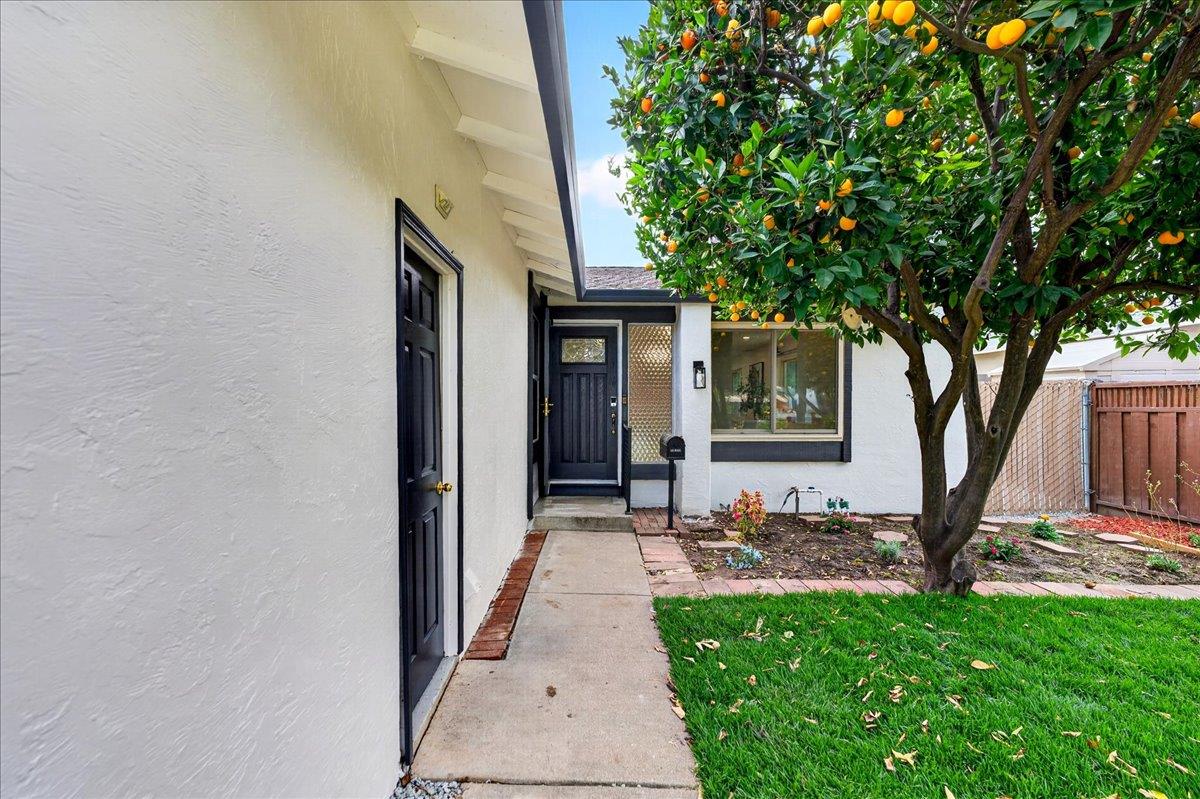 289 Martinvale Lane