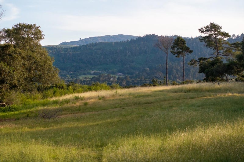 5155 Carmel Valley Road