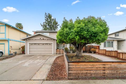 Photo of 2456 Kenoga Drive, San Jose, CA 95121 (MLS # ML82038461)