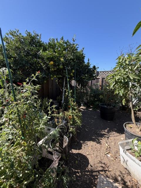 Tiny photo for 559 Bridge Street, WATSONVILLE, CA 95076 (MLS # ML82065075)