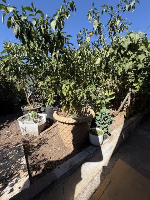 Tiny photo for 559 Bridge Street, WATSONVILLE, CA 95076 (MLS # ML82065075)