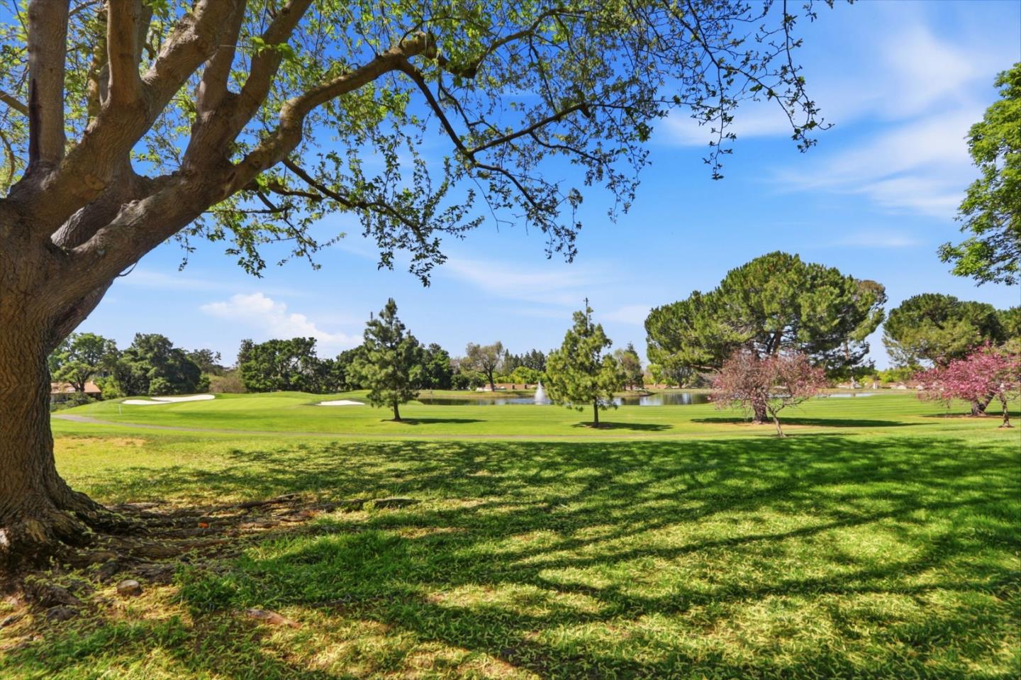 8356 Charbono Court