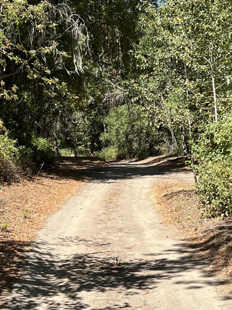 33446 East Carmel Valley Road