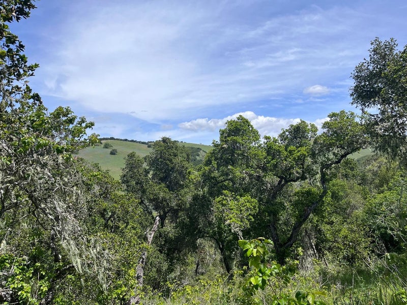33446 East Carmel Valley Road