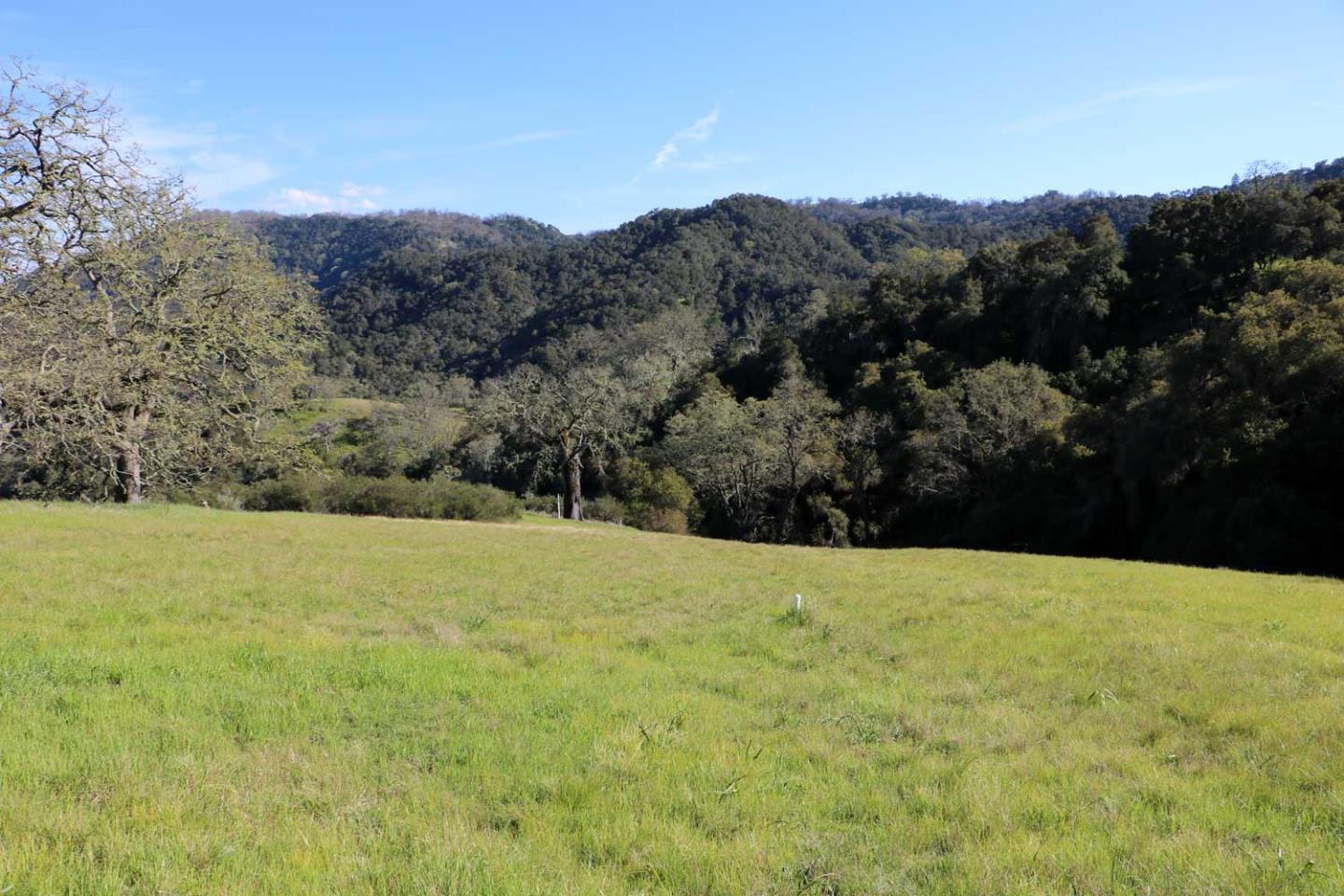 5 Black Mountain (Lot 247) Trail