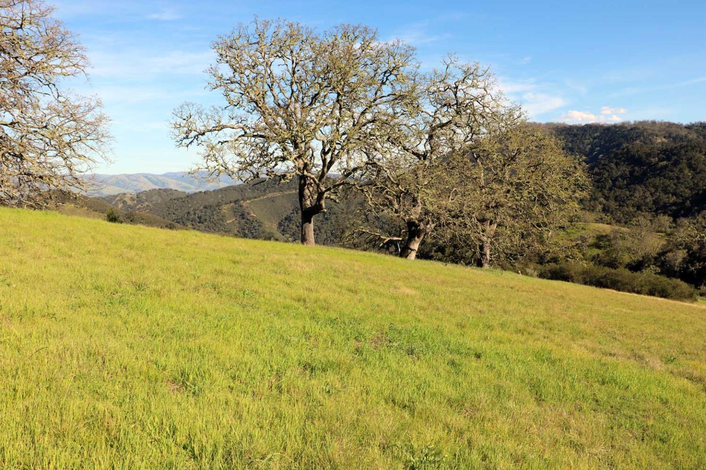 5 Black Mountain (Lot 247) Trail