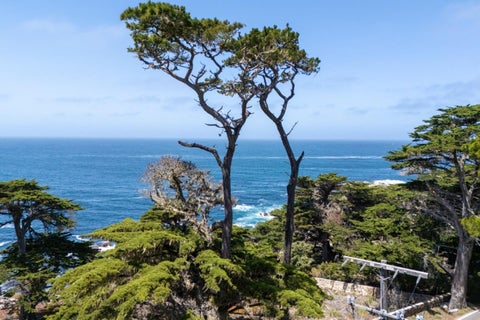 Photo of 3245 17 Mile Drive, PEBBLE BEACH, CA 93953 (MLS # ML82050136)