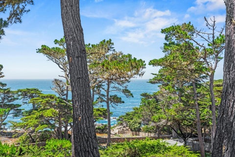 Tiny photo for 3245 17 Mile Drive, PEBBLE BEACH, CA 93953 (MLS # ML82050136)