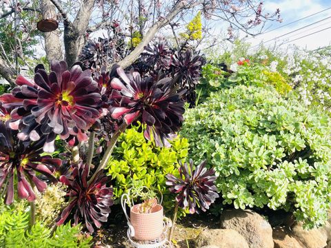 Tiny photo for 2506 Ralston Avenue, BELMONT, CA 94002 (MLS # ML82036862)