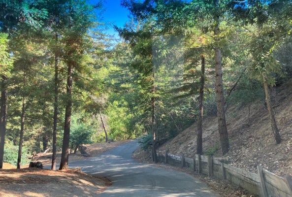 0 OLD LOGGING ROAD, LOS GATOS, CA 95033 - Image 892f6059e85cffd273da9ce0c7beeea0/3243157383