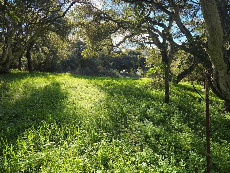 0 Paradise Road
