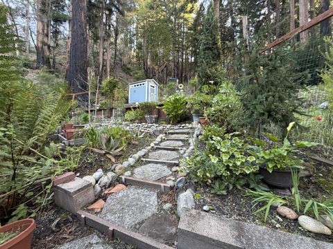 535 Burnside Bend BOULDER CREEK CA 95006