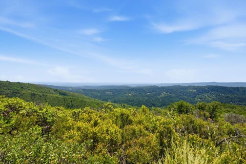 Featured picture for the property ML82052900