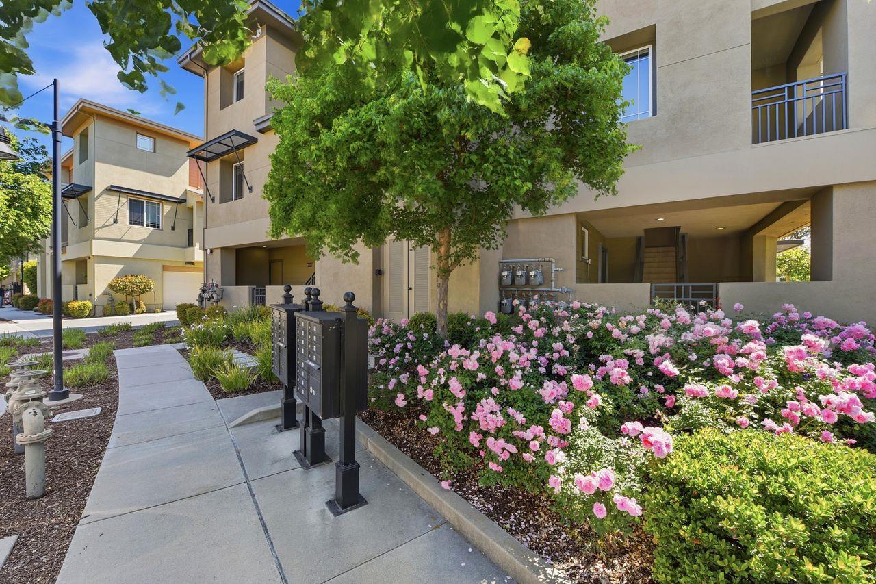 3720 Feather Lane