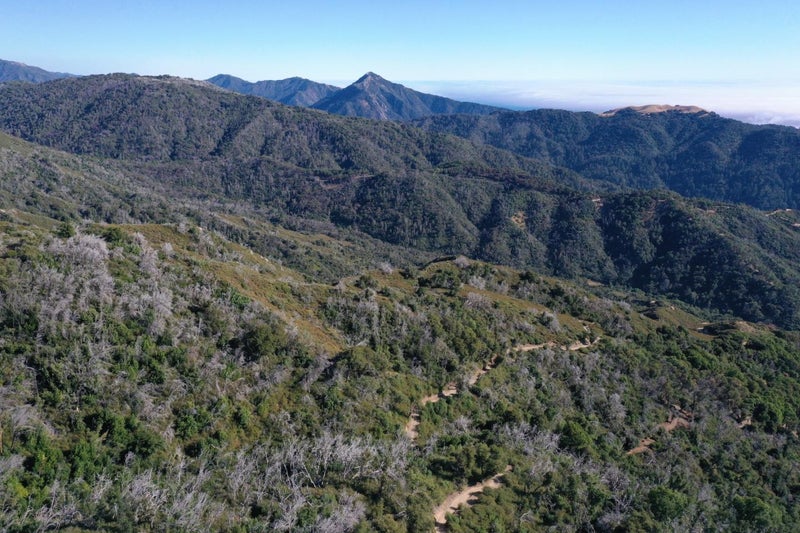 1 Twin Peaks Crest