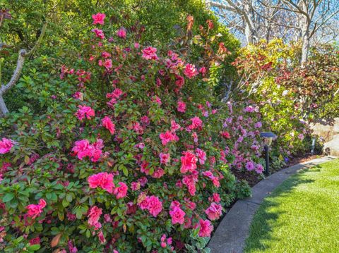 Tiny photo for 17981 Rose Court, MONTE SERENO, CA 95030 (MLS # ML82036848)