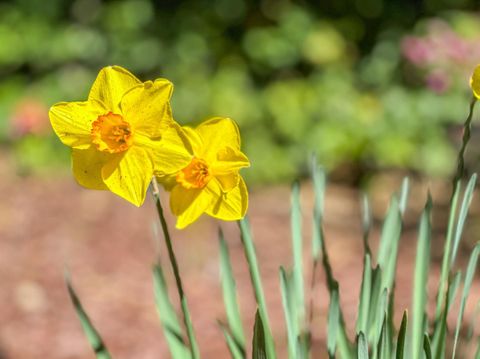 Tiny photo for 17981 Rose Court, MONTE SERENO, CA 95030 (MLS # ML82036848)