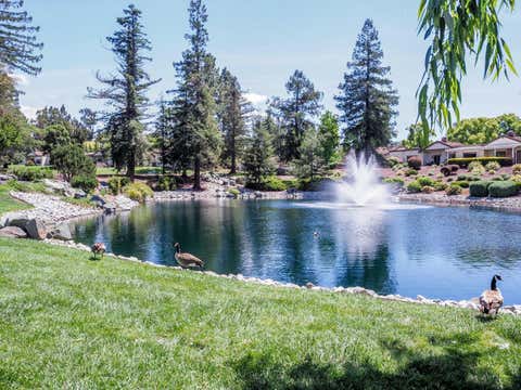 Tiny photo for 7774 Beltane Drive, San Jose, CA 95135 (MLS # ML82040942)
