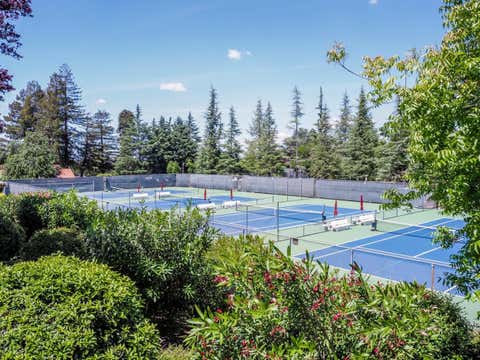 Tiny photo for 7774 Beltane Drive, San Jose, CA 95135 (MLS # ML82040942)