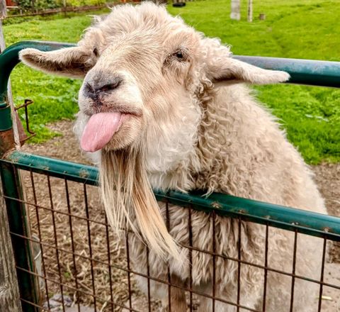 Photo of 000 San Lucas, MOSS BEACH, CA 94038 (MLS # ML82023617)